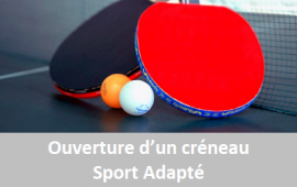 Ouverture créneau tennis de table sport adapté 
